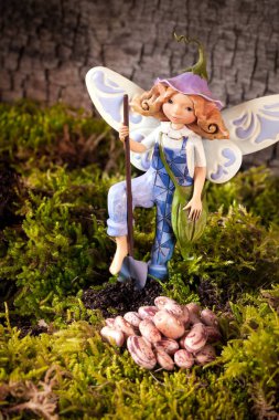 fasulye sows elf ile kompozisyon