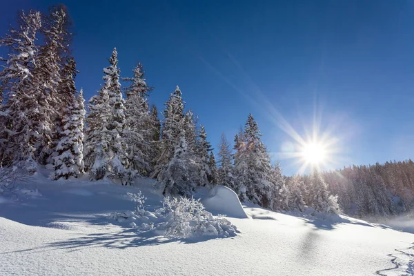 Paisaje Alpino Con Nieve Fresca — Foto de Stock