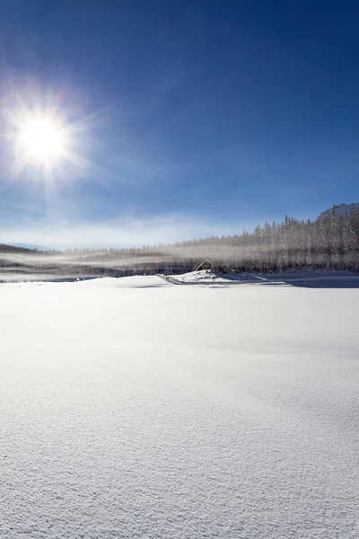 Fristad Pal Valmalenco Det — Stockfoto