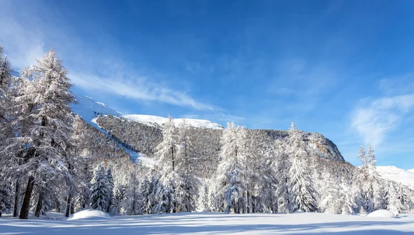 Val Roseg Engadin Winter Post Card — Stock Photo, Image