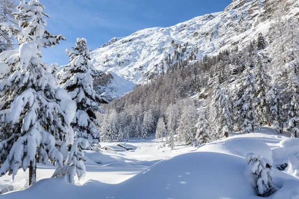 Kartka Pocztowa Val Roseg Engadin Zima — Zdjęcie stockowe