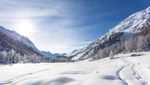 Engadine Szwajcaria Zima Panoramiczny Widok Dolinę Roseg — Zdjęcie stockowe