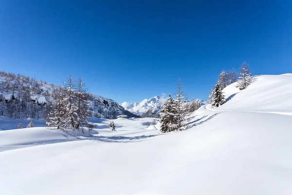 Valtellina Mount Disgrazia Set Fra Øst - Stock-foto