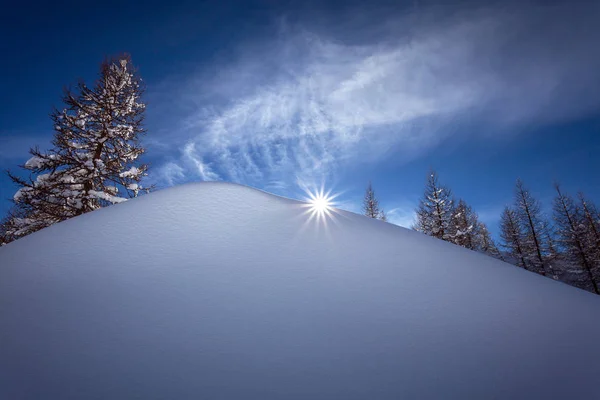 Coucher Soleil Hiver Avec Neige Fraîche — Photo