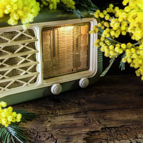 Rádio Velho Com Raminho Mimosa — Fotografia de Stock