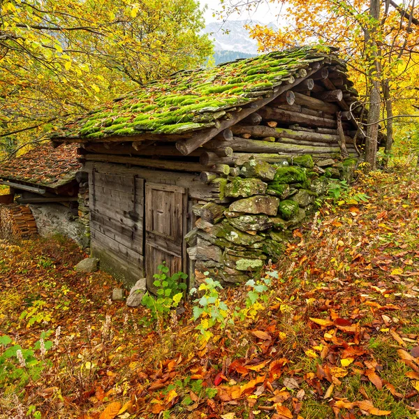 log cabin in autumn landscape