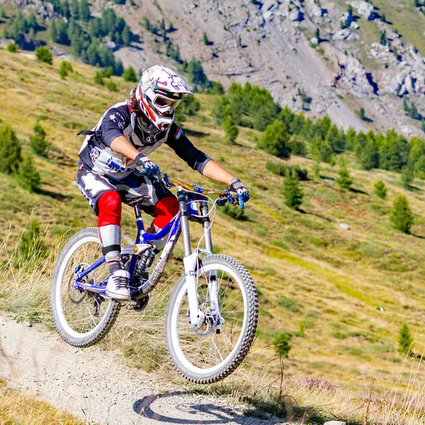 Adrenalinet Härstamning Med Mtb Skogsstig — Stockfoto