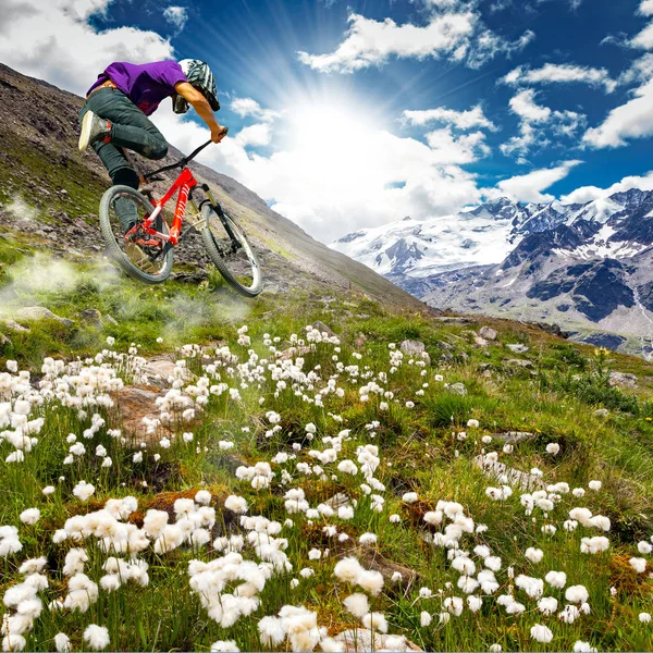 Rider Mtb Downhill Alps — Stock Photo, Image