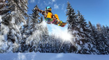 Çam ağaçlarında snowboard