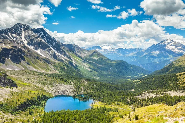 Val Viola Schweiziska Sidan — Stockfoto