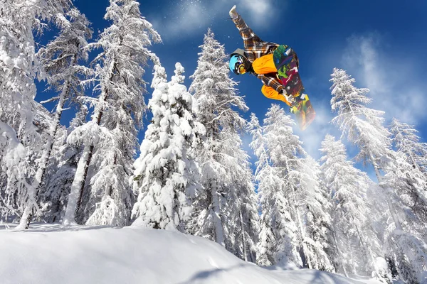 Snowboard Sulla Neve Fresca — Foto Stock