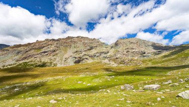 İnekler otlatma Valmalenco (BT)-