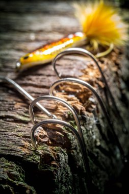 balıkçılık kanca - yakın çekim