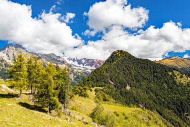 Alpe Granda - Mount Disgrazia görünümü - Valtellina (BT)