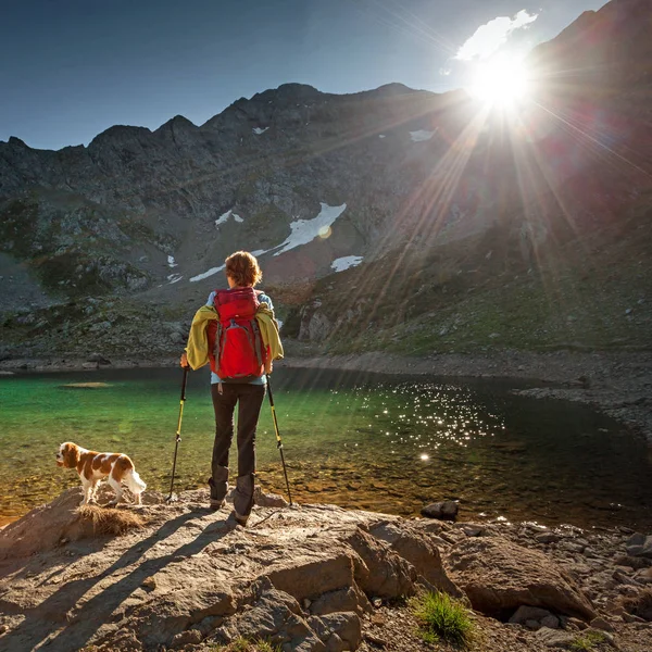 Young Woman Hike High Mountains Dog — Stock Photo, Image