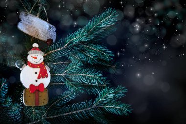 köknar ile kardan adam - yakın çekim