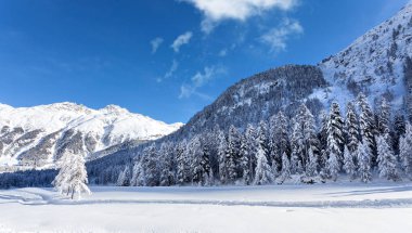 Roseg Vadisi - Engadine - İsviçre