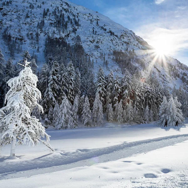 Roseg Κοιλάδα Κοιλάδα Engadine Ελβετία — Φωτογραφία Αρχείου