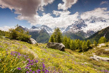 Valmalenco - Valtellina (IT) - Ventina Vadisi