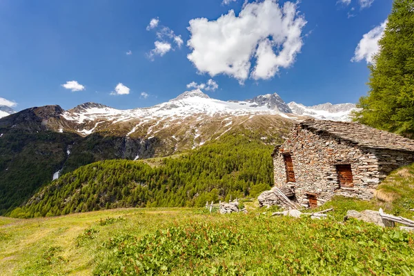 Üst Valmalenco Eski Kırsal Hut — Stok fotoğraf