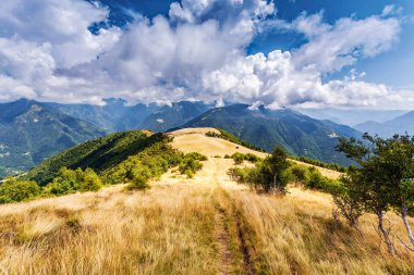 alp yaz manzara görünümünü