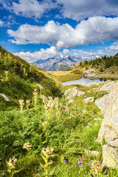 Valmalenco (BT) - Campagneda göller