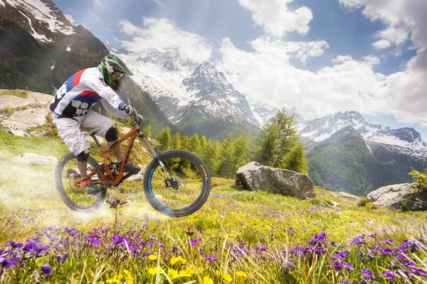 Descente Vtt Dans Environnement Alpin — Photo