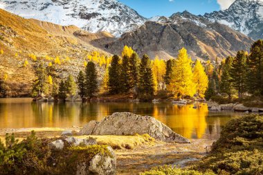 dağ gölü - sonbahar - Val di Campo (Ch)