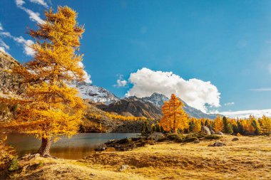 dağ gölü - sonbahar - Val di Campo (Ch)