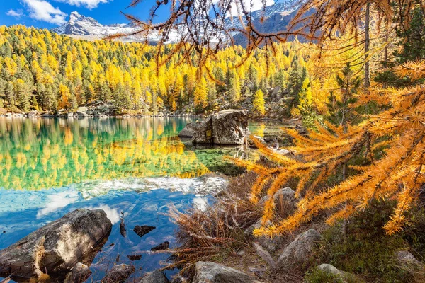 Alpine Lake Larches Fall — Stock Photo, Image