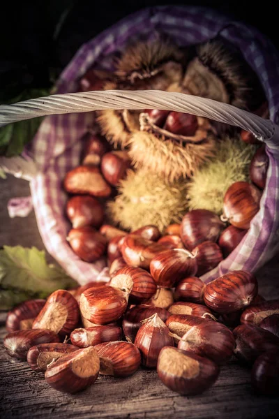 Korb Mit Frisch Gepflückten Kastanien — Stockfoto