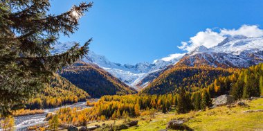 Valmalenco (BT) - Chiareggio - Kurtlar Vadisi sonbahar manzarası