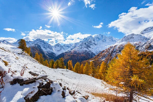 Valmalenco Chiareggio Alpe Dell Oro —  Fotos de Stock