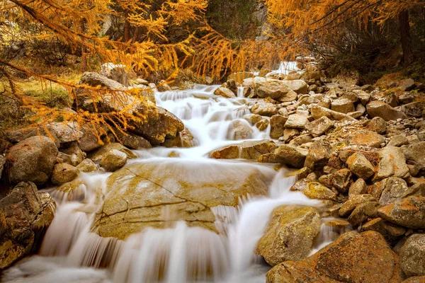 Водяні Стрибки Восени — стокове фото