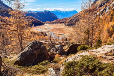Masino Vadisi - Valtellina (BT) - Predarossa 