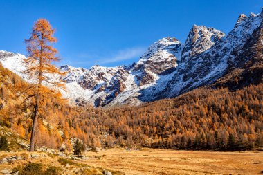 Masino Vadisi - Valtellina (BT) - Predarossa 