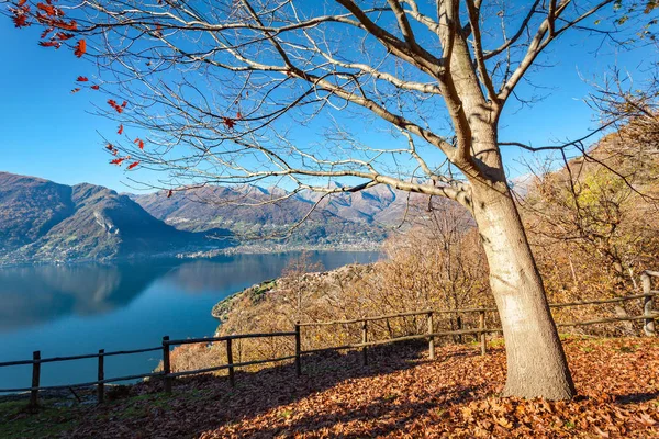 Vista Panorámica Del Lago Como — Foto de Stock