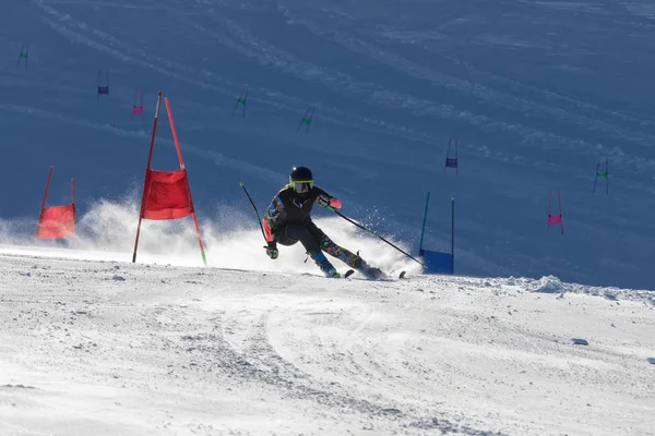 Atleta Una Competición Especial Slalom —  Fotos de Stock
