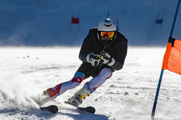 Atleta Una Competición Especial Slalom —  Fotos de Stock