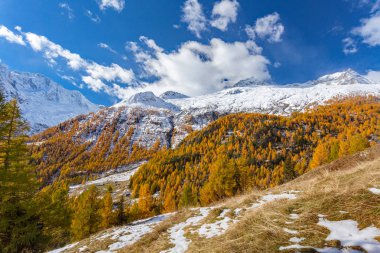 Valmalenco (IT) - Chiareggio - Alpe dell'Oro - Towards the Passo del Muretto