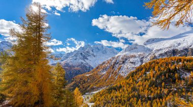 Valmalenco (IT) - Chiareggio - Alpe dell'Oro - Towards the Passo del Muretto