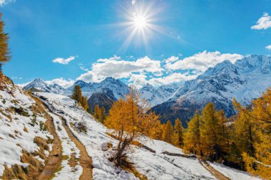Valmalenco (IT) - Chiareggio - Alpe dell'Oro 