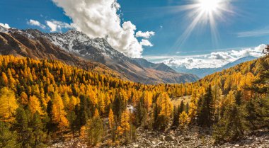 Campo Vadisi - Graubnden (Ch) - sonbahar manzara