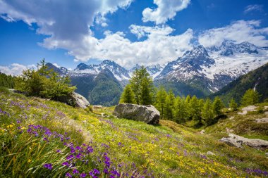 Valmalenco (BT) - panoramik Oro Valley