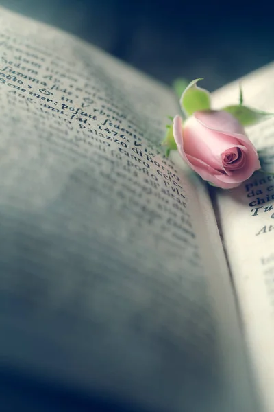 old book with rose