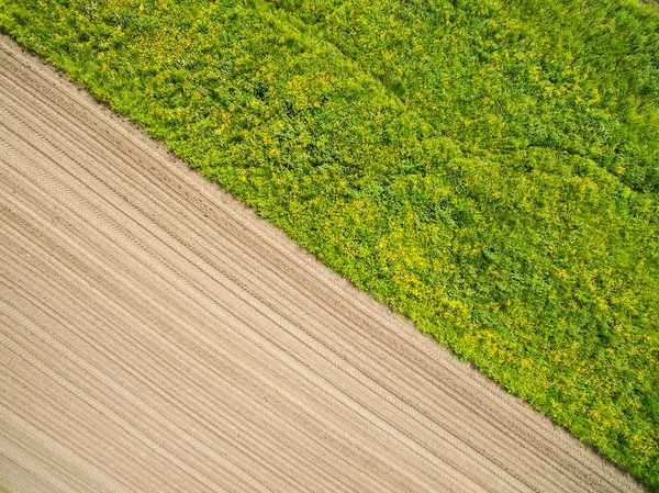 Воздушный Вид Вспаханного Поля Зеленого Луга — стоковое фото