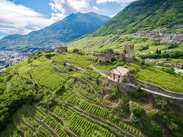 Valtellina Grumello Winnic Pobliżu Sondrio — Zdjęcie stockowe