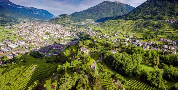 Valtellina Grumello Szőlőültetvények Közelében Sondrio — Stock Fotó