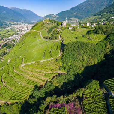 Valtellina (BT) - Zona Grumello bağlar