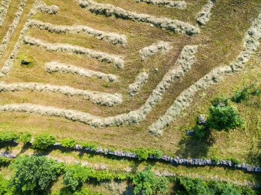 yüksek dağlarda işleme saman